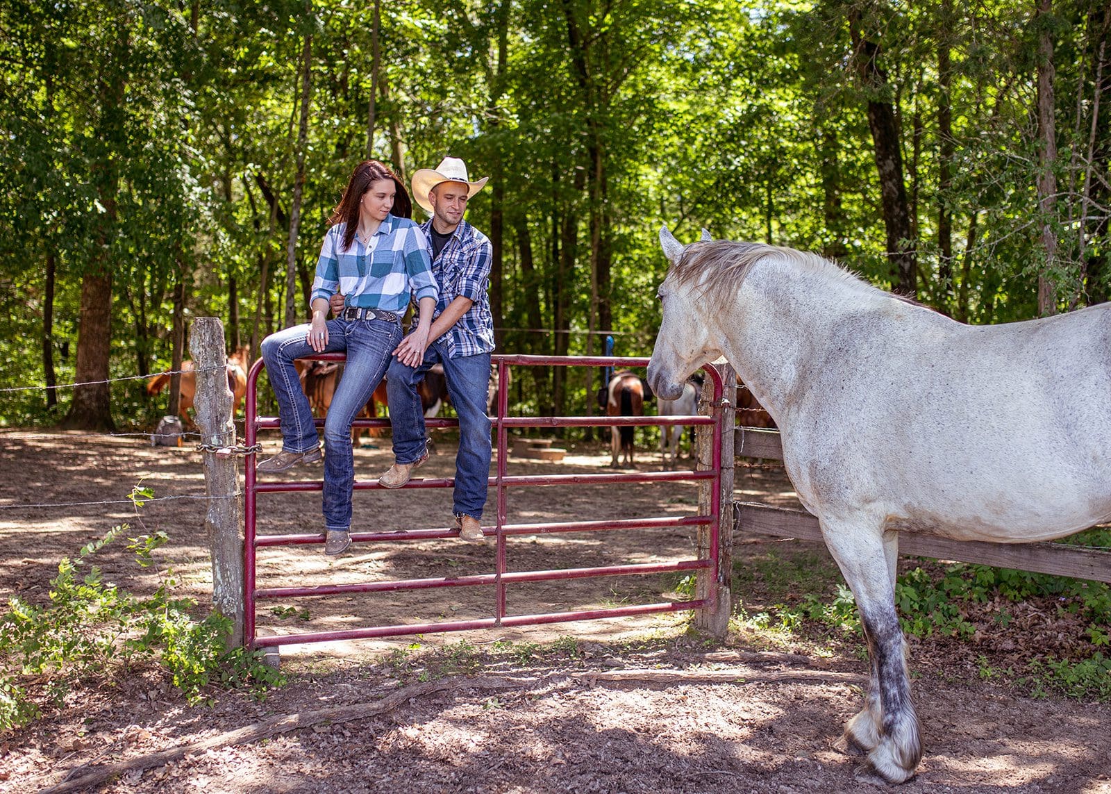 country engagement session