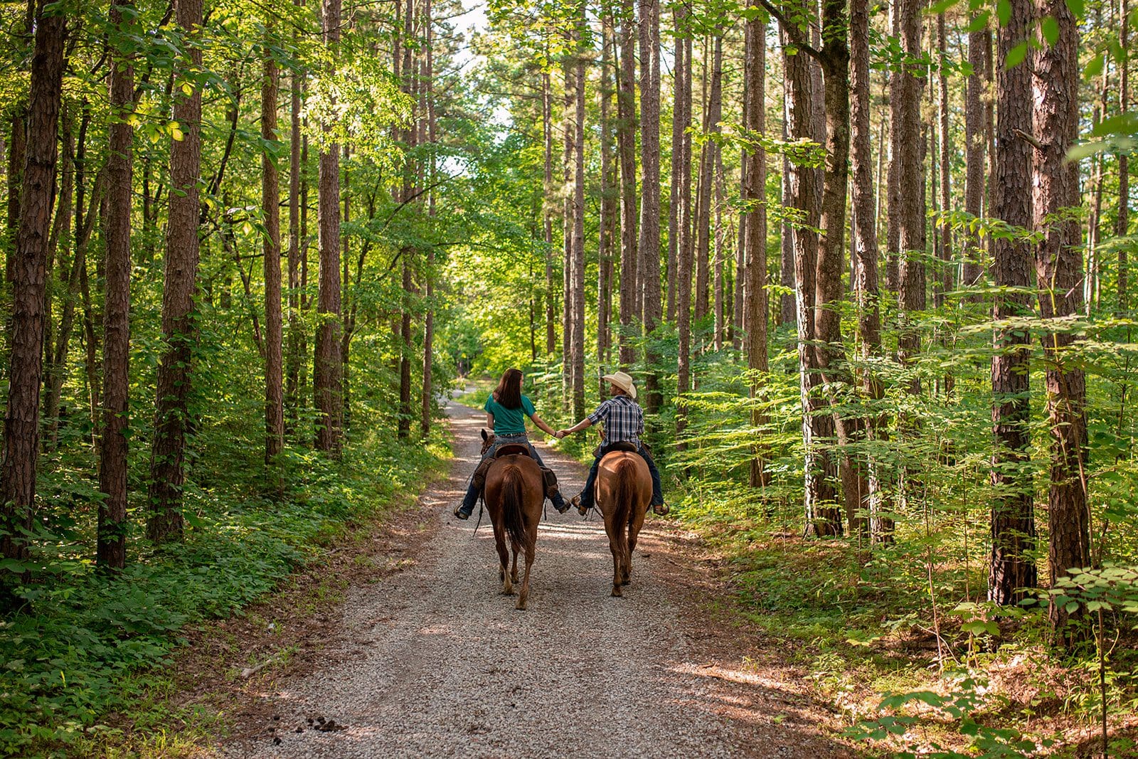 country engagement session